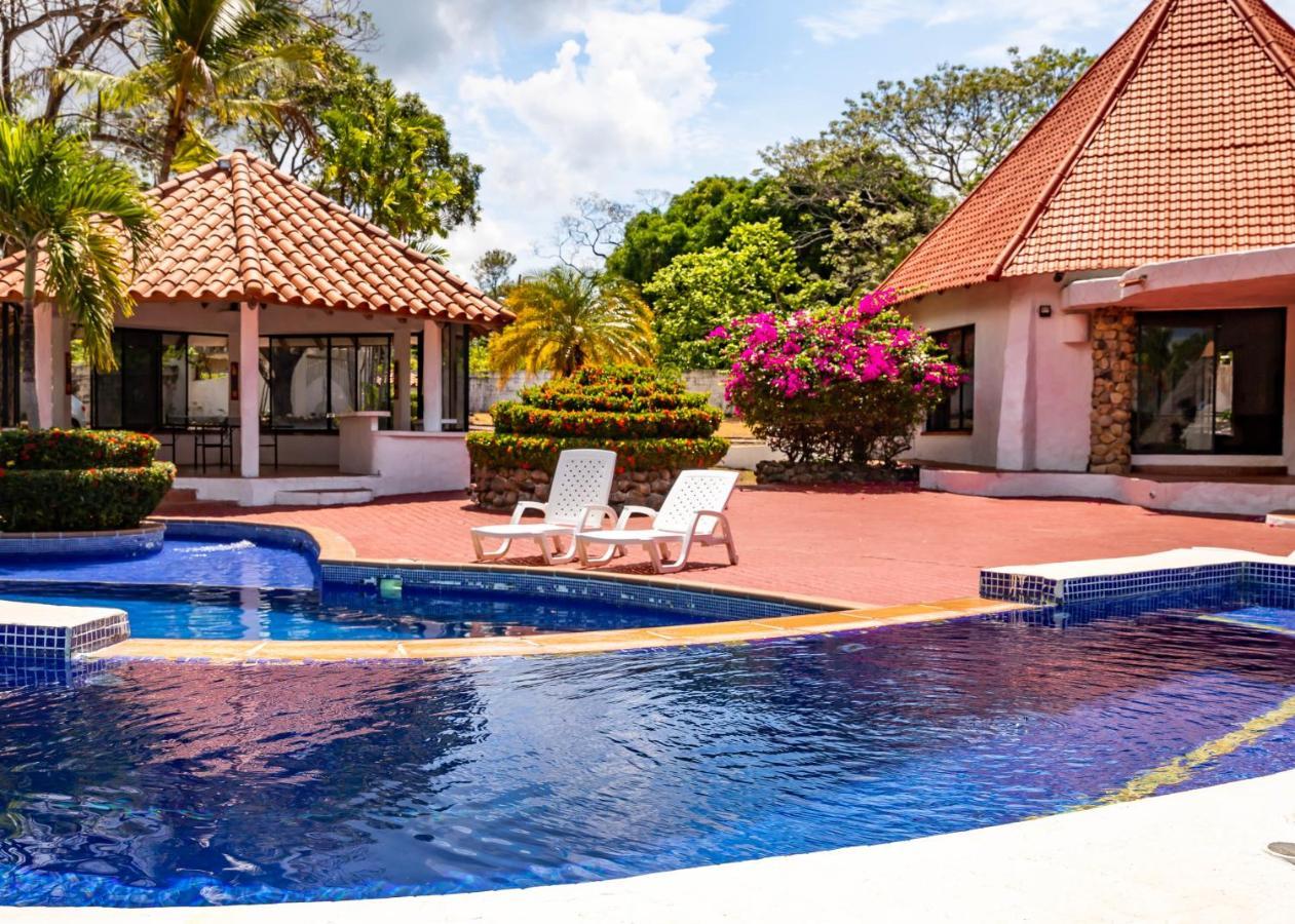 Cottage house 新戈尔戈纳 外观 照片