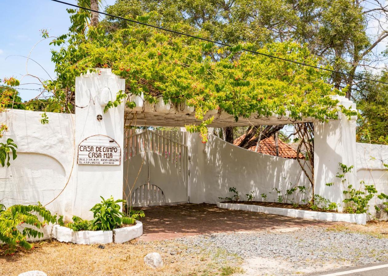 Cottage house 新戈尔戈纳 外观 照片
