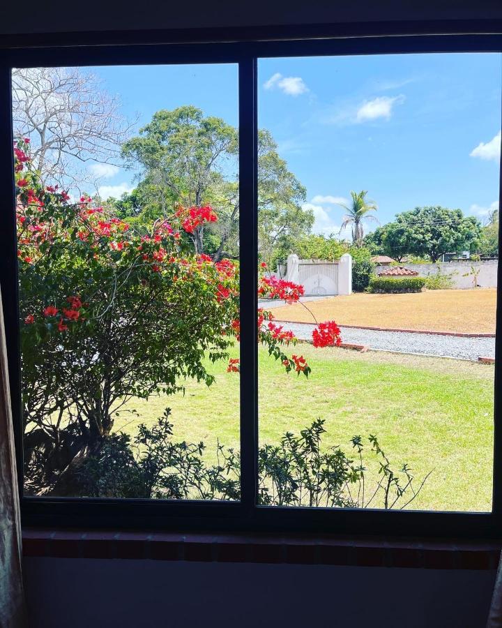 Cottage house 新戈尔戈纳 外观 照片